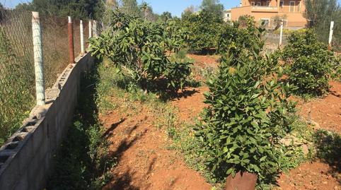 Photo 2 of Residential for sale in Pòrtol, Illes Balears