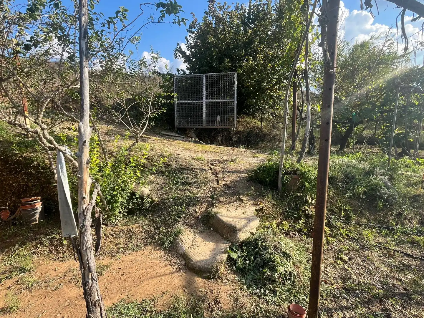 Terreni e lotti in vendita a Torre del Compte, imagen 12