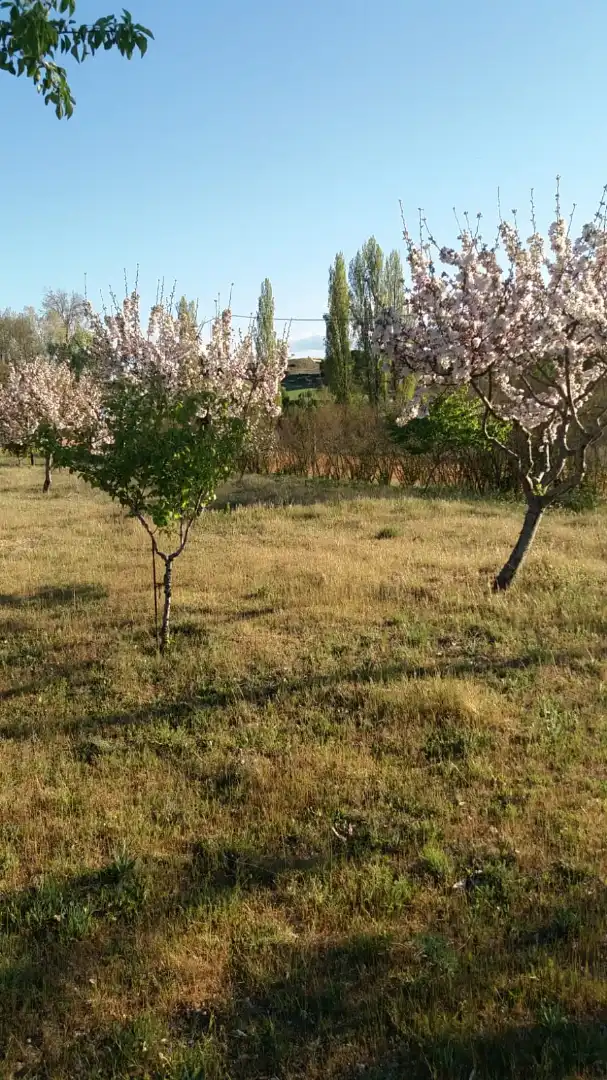 Terreni e lotti in vendita a La Hiniesta, imagen 9