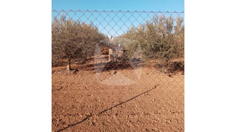 Photo 4 of Residential for sale in Ciudad Jardín, Badajoz Capital