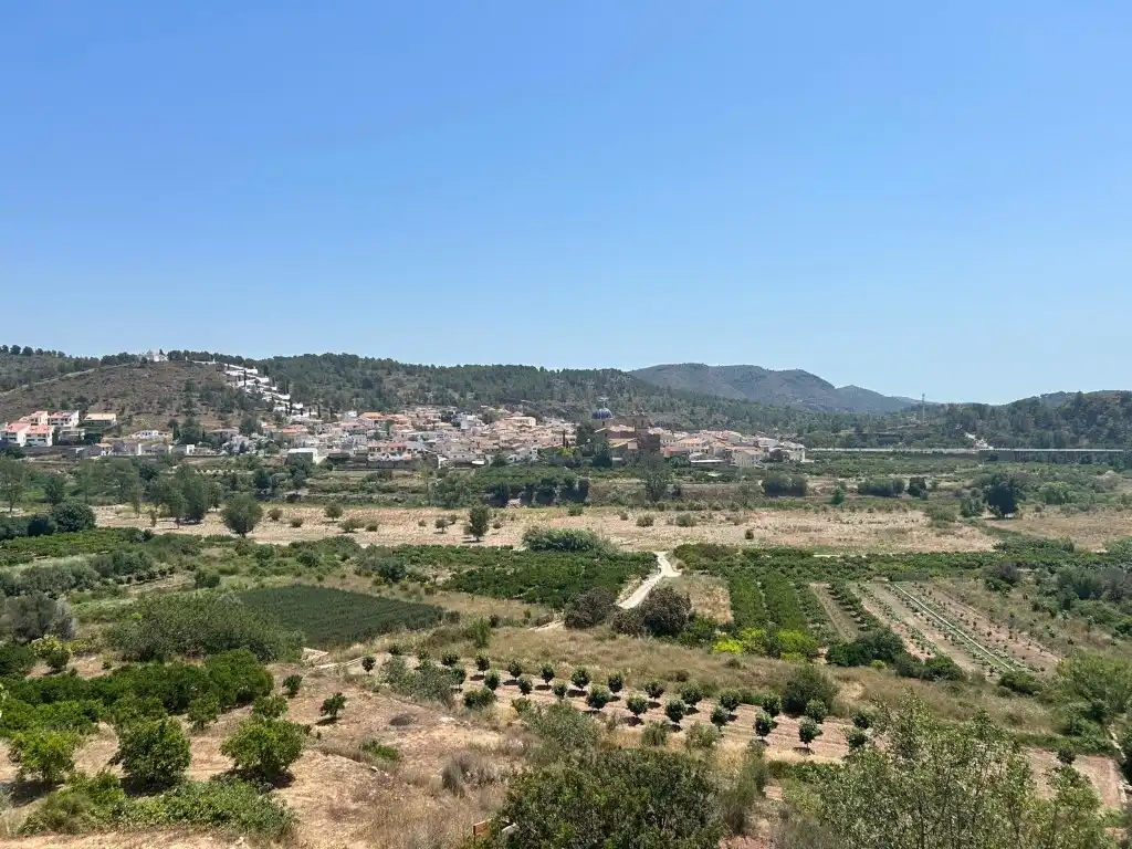 Finca rústica en venta en Sot de Ferrer