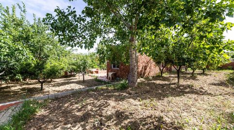 Finca de recreo de 4.500 m en la Alpujarra casa de 240 m, apartamento independiente, piscina y vistas a Sierra Nevada  295.000, imagen 5