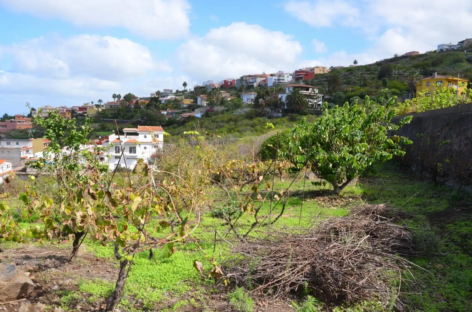 Casa o chalet en venta en Santa Úrsula con Jardín privado, Terraza y Trastero