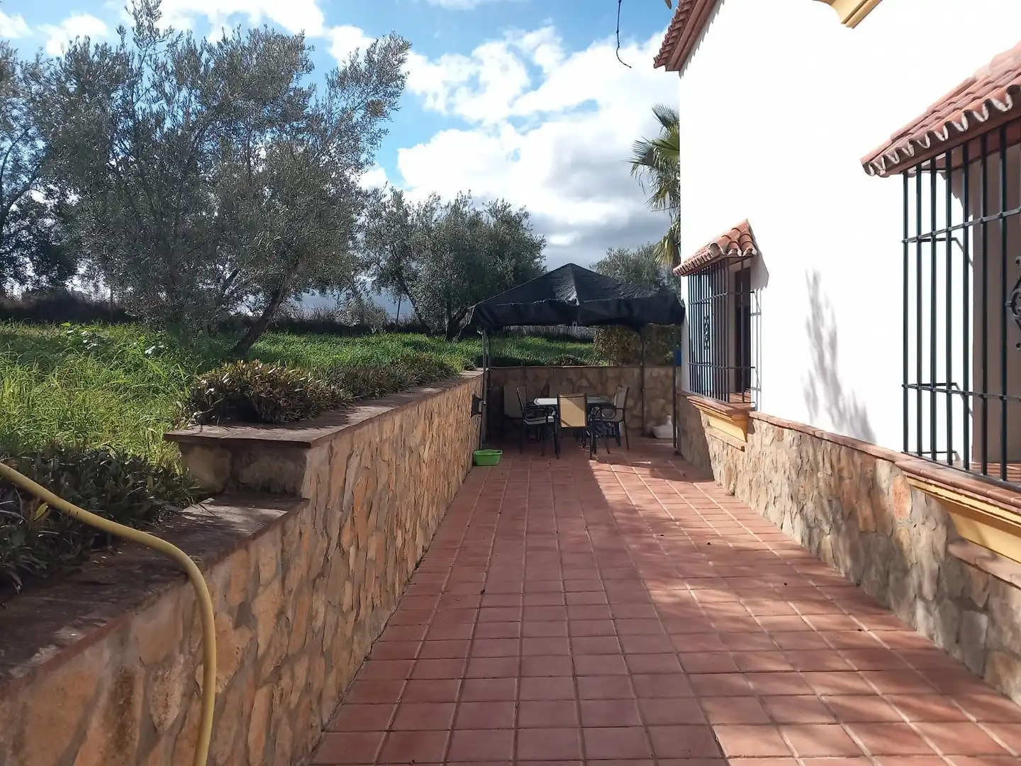 Finca rústica en venta en Arriate