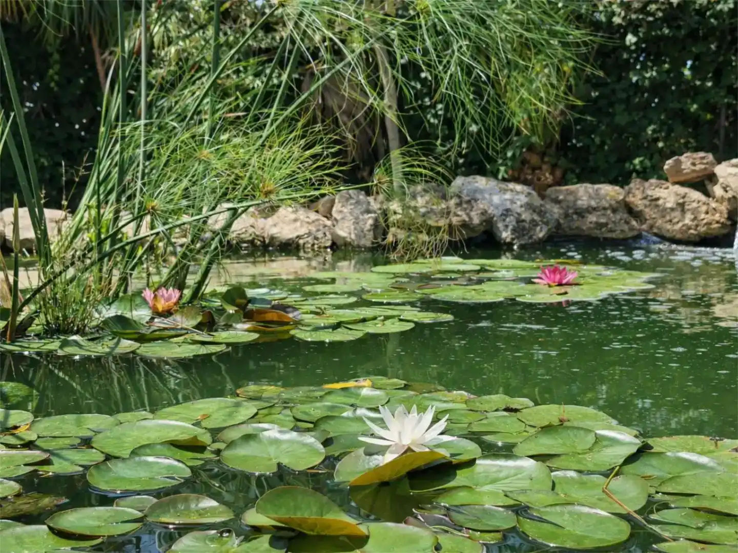 Jardí de Pis en venda en Masdenverge amb Aire condicionat, Piscina i Balcó