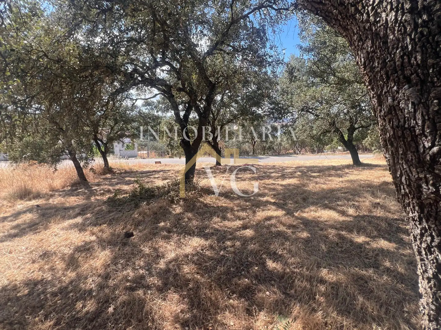 Residential land for sale in Los Lagos, imagen 5
