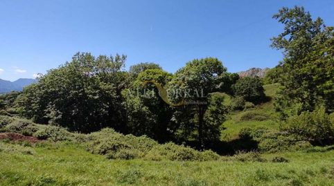 Foto 5 de Casa o chalet en venta en Collía, Parres, Asturias