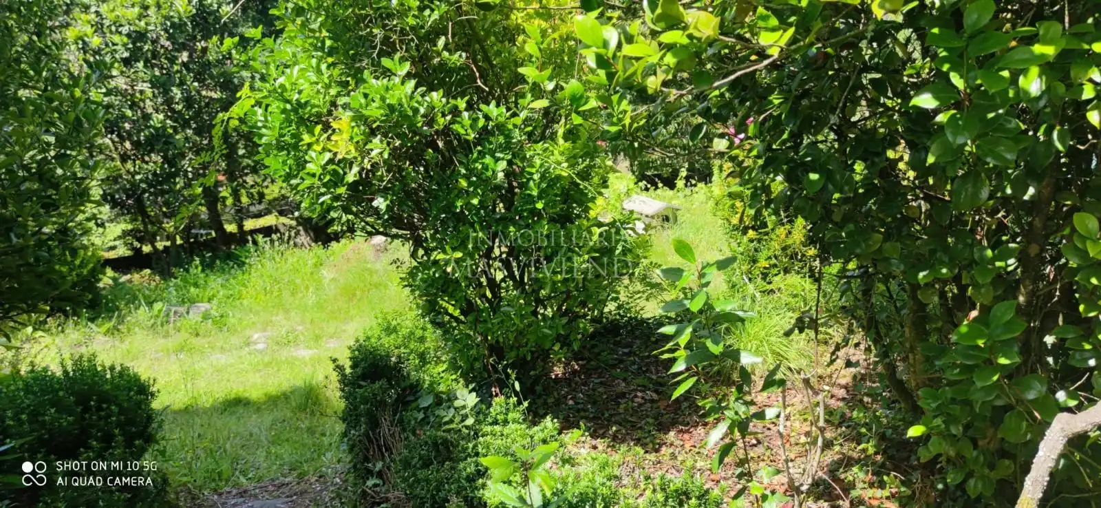 Casa con jardín en venta en Del Val, imagen 43
