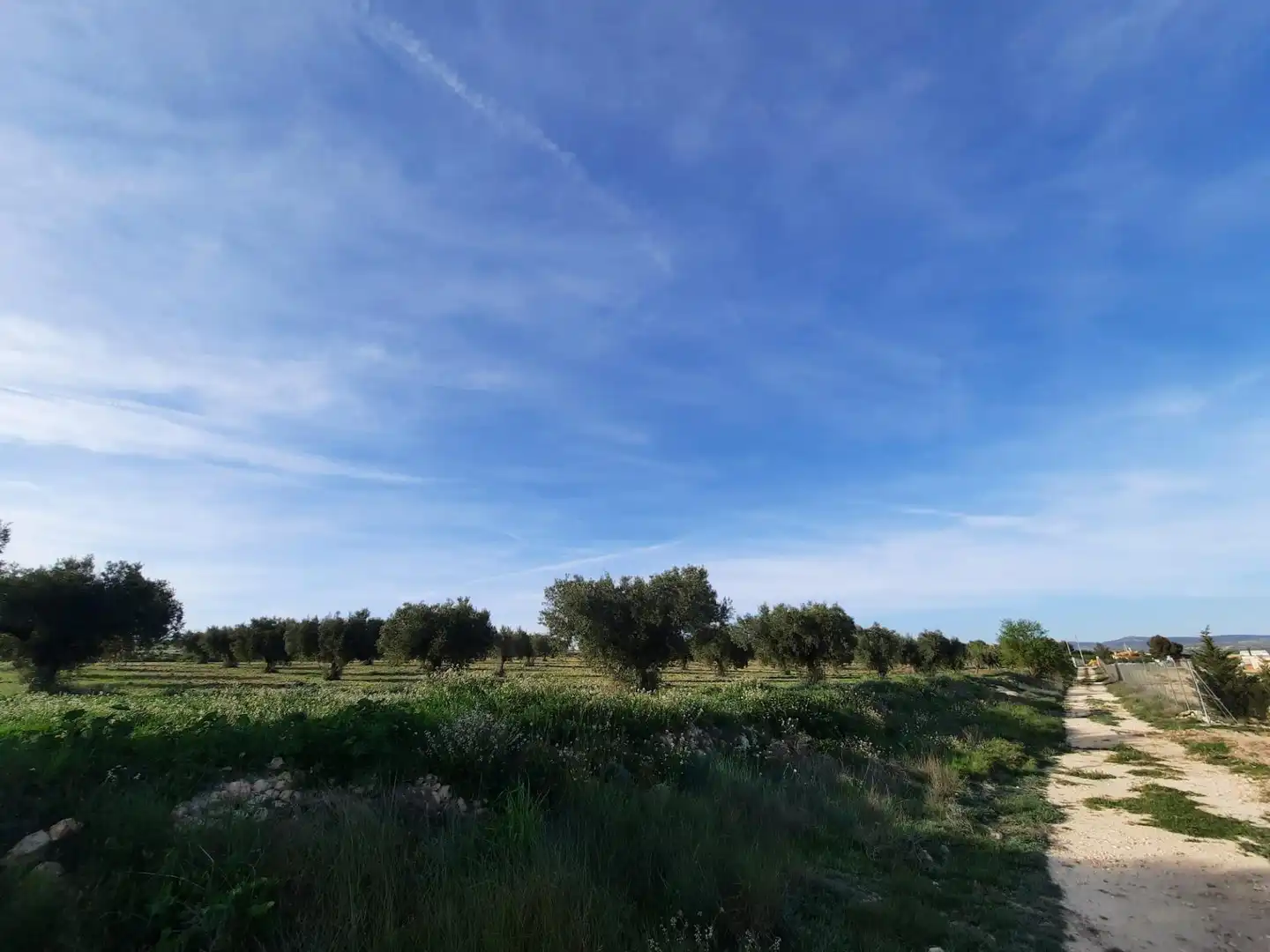 Rustikales Grundstück zum Verkauf in Almansa, imagen 2
