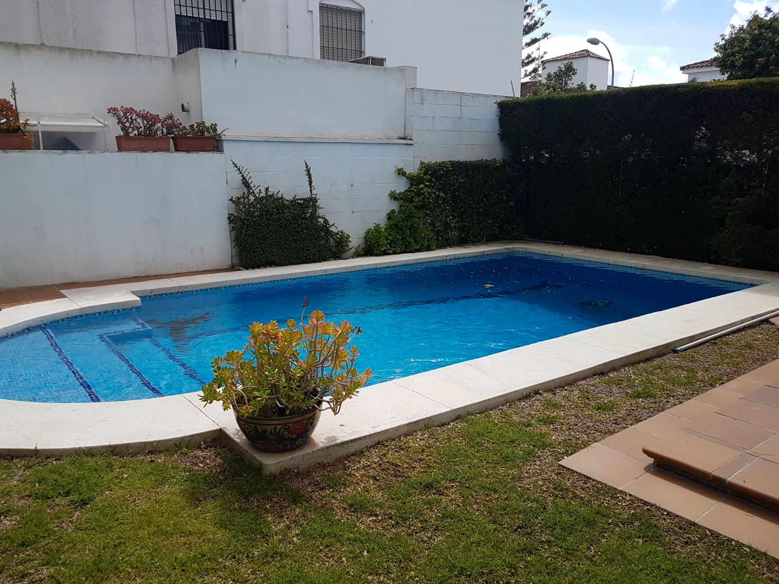 Swimming pool of House or chalet to rent in Jerez de la Frontera  with Air Conditioner, Private garden and Swimming Pool