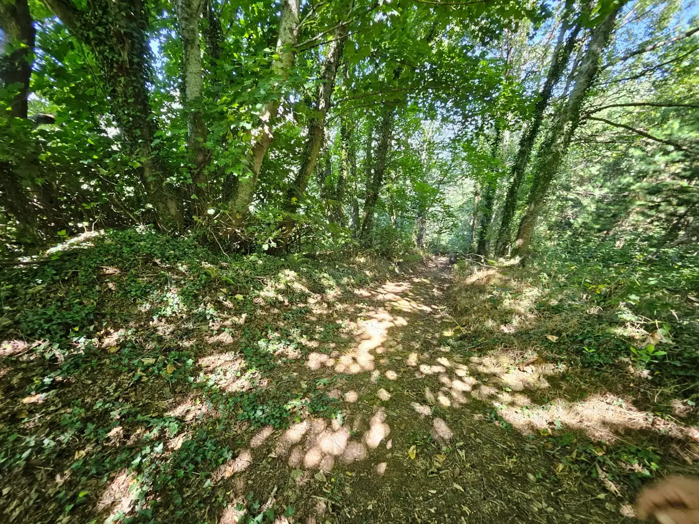 Country homes for sale in Allande