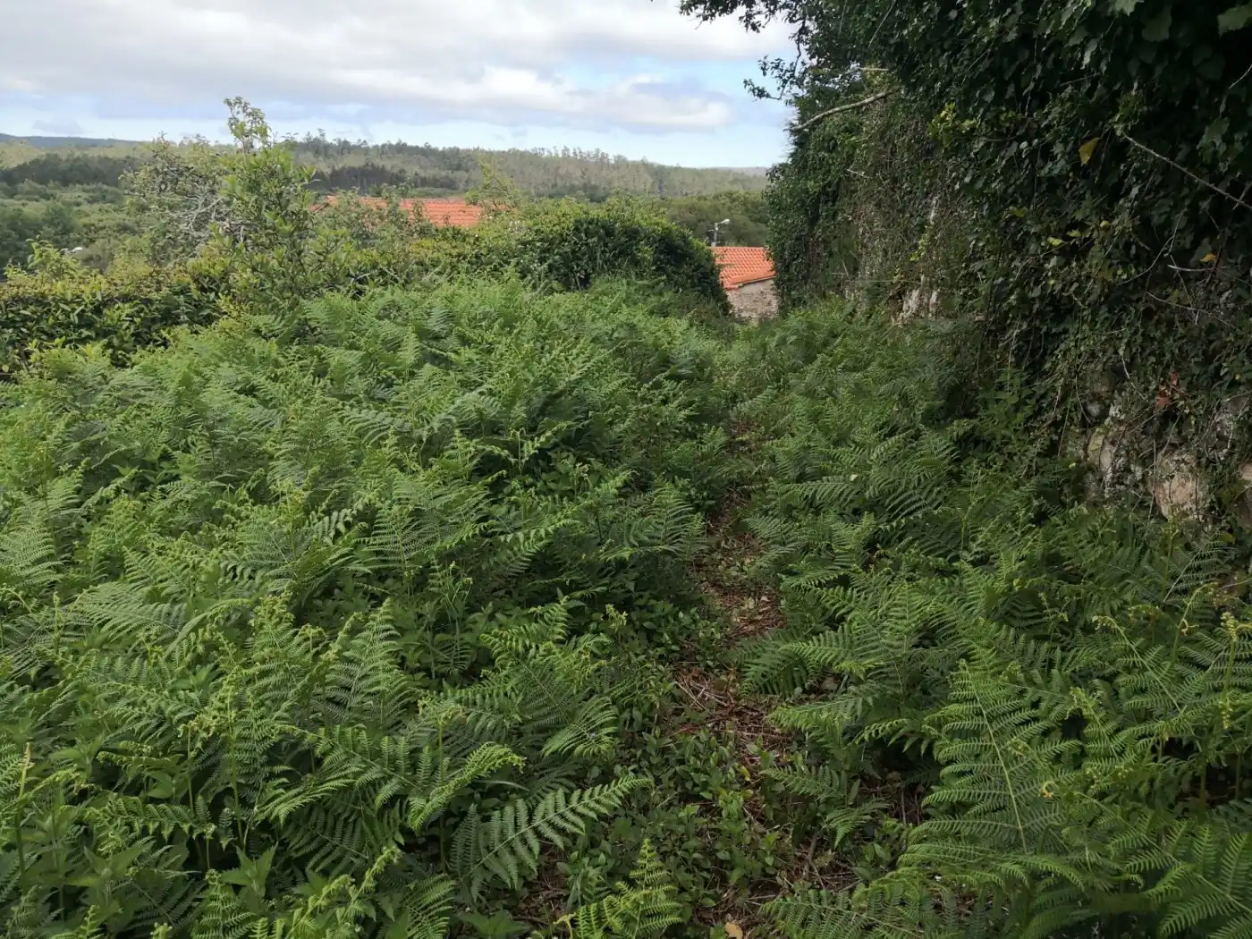 Casa o xalet en venda en Zas