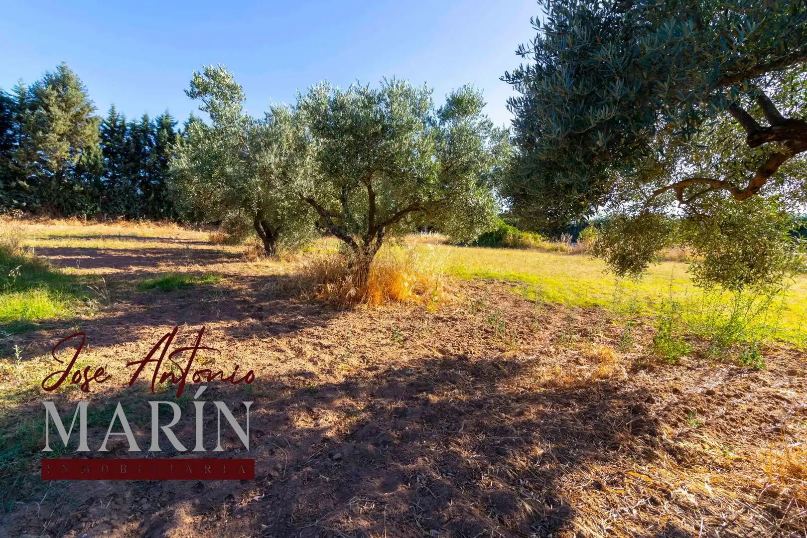 Casa o chalet en venta en Badajoz con Aire acondicionado, Jardín privado y Piscina