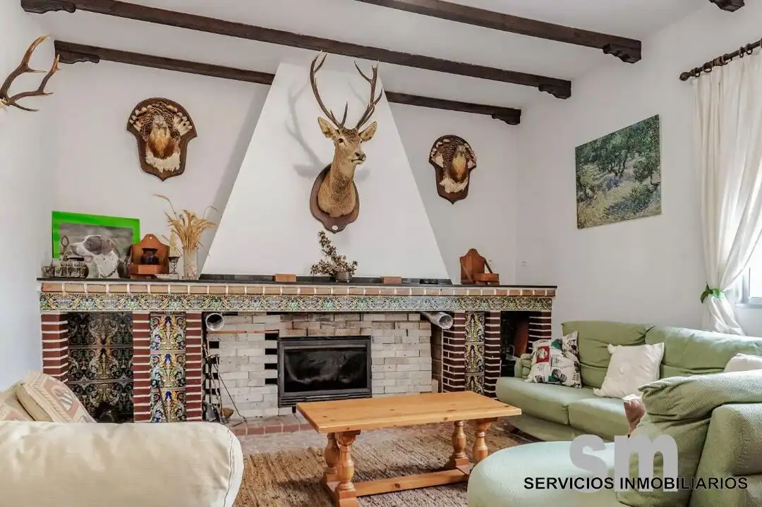 Wohnzimmer von Residential zum Verkauf in Paymogo