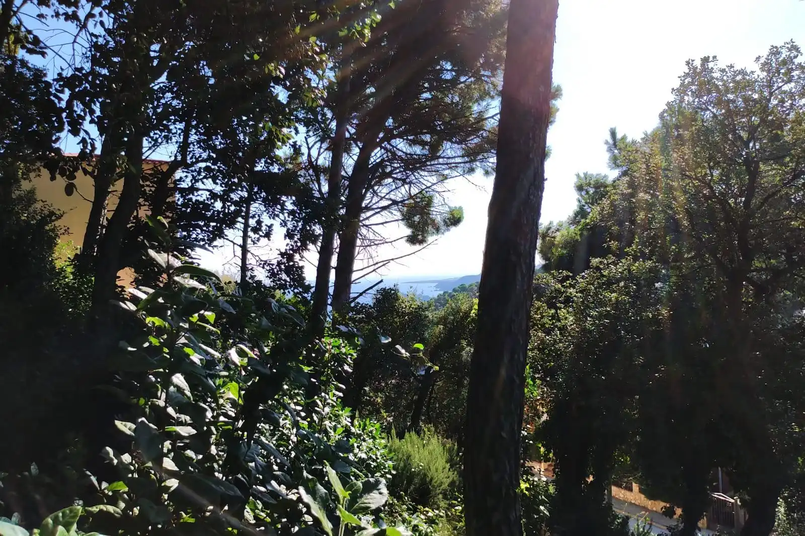 Terreno residencial en venta en Serra Brava, imagen 2