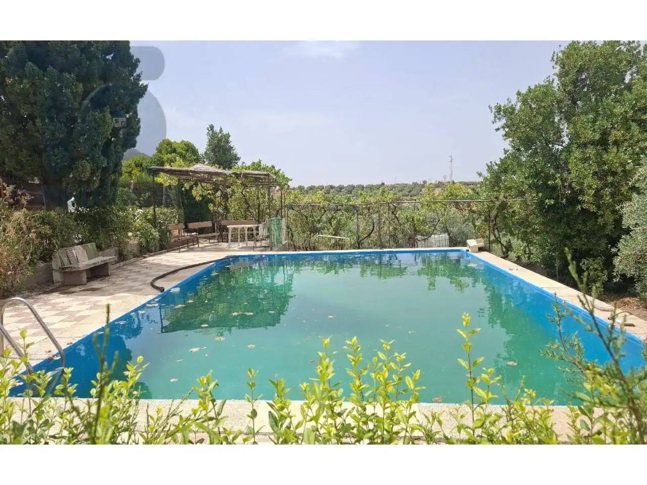 Schwimmbecken von Country house zum Verkauf in Cogollos de la Vega mit Privatgarten, Terrasse und Schwimmbad