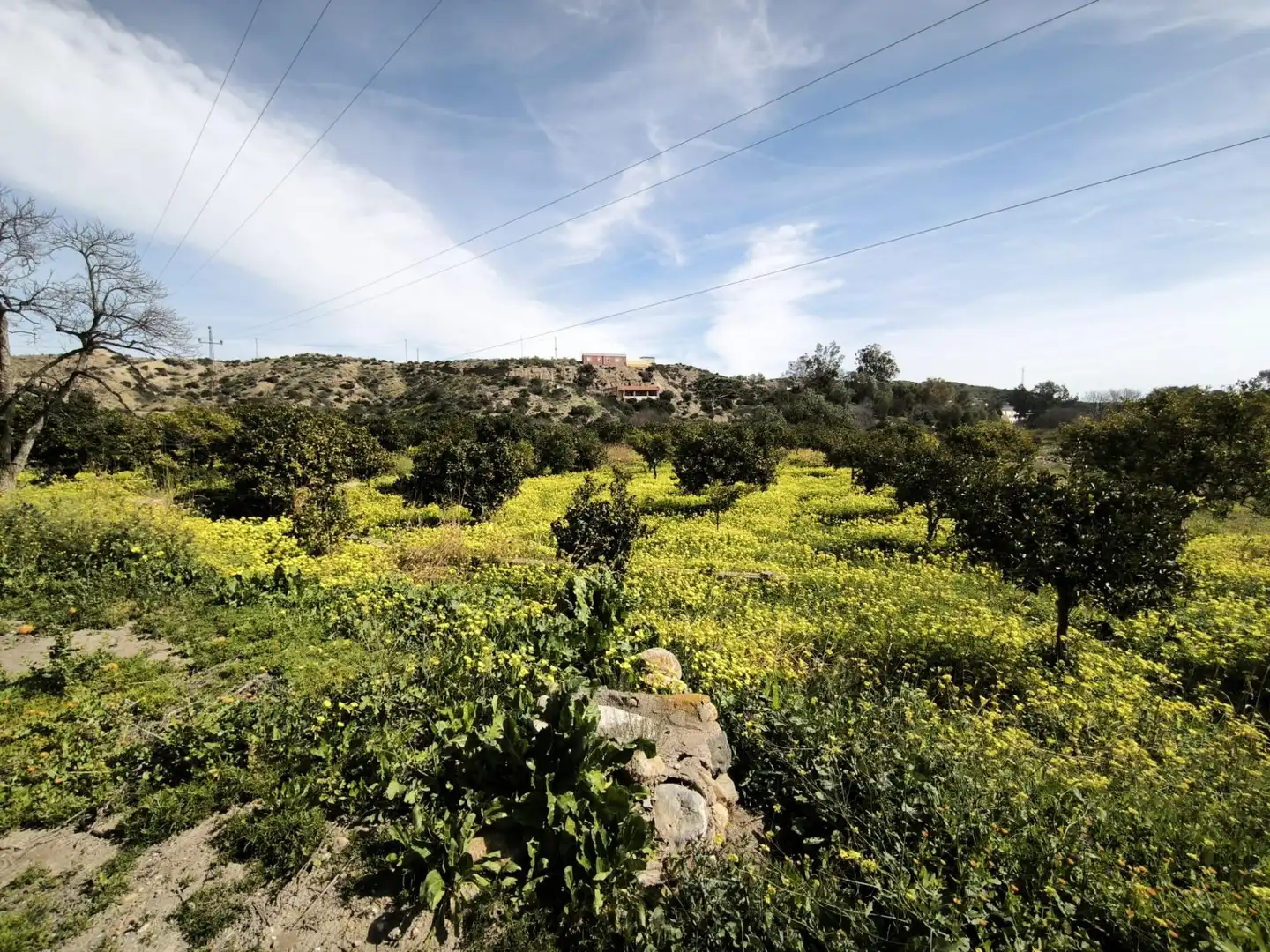 Lands and plots for sale in Gádor, imagen 6