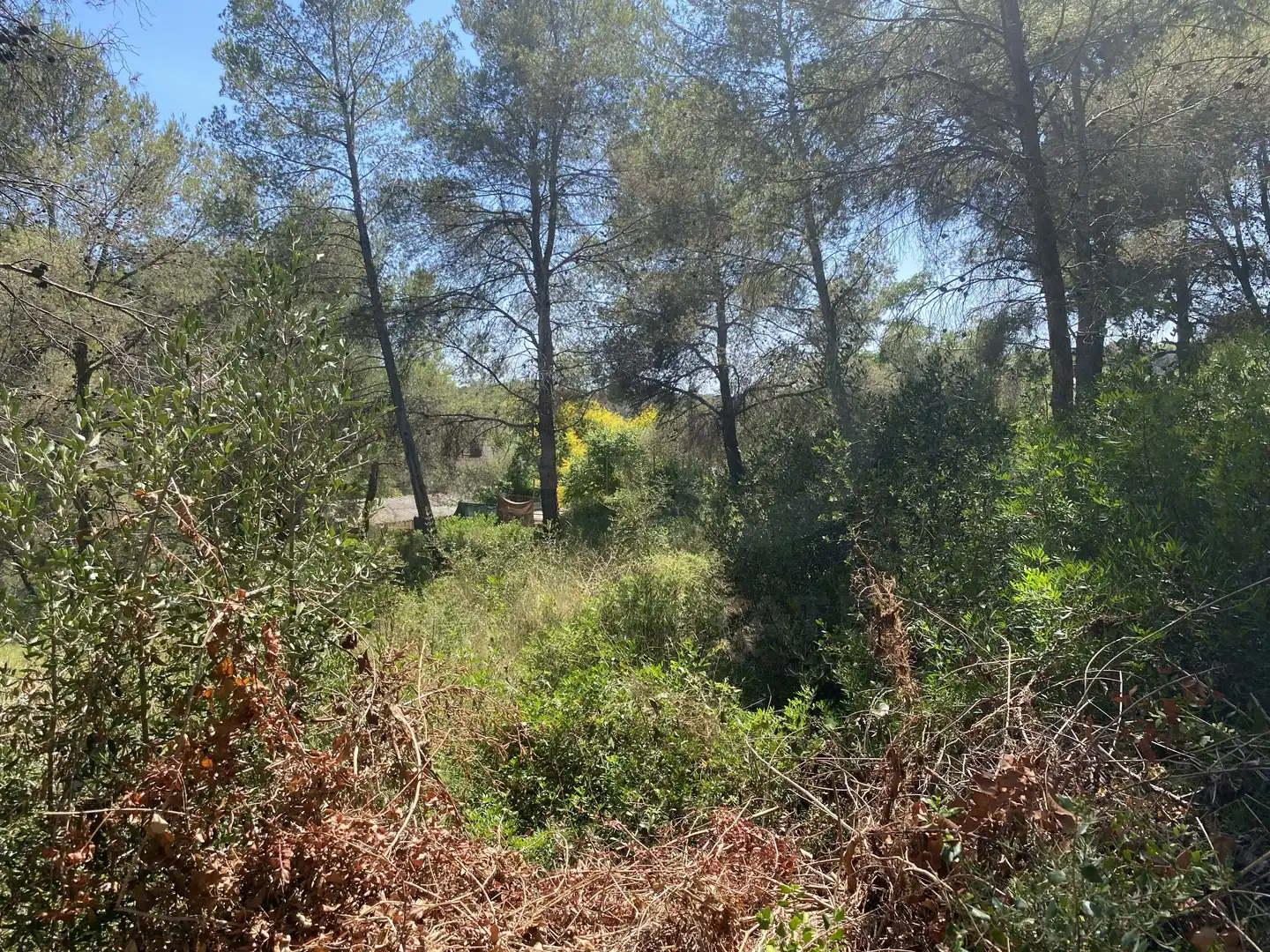 Residential land for sale in Urbanitzacions de Llevant, imagen 19