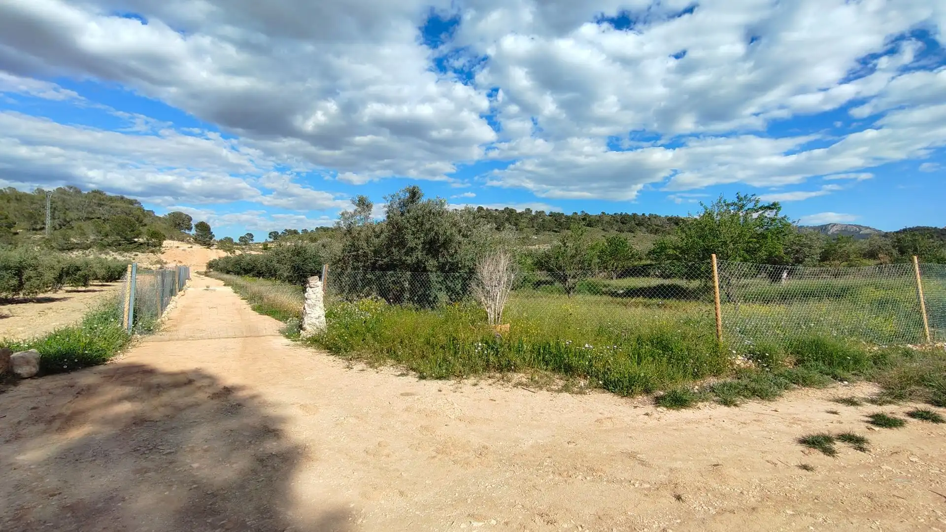Grundstücke zum Verkauf in Jumilla