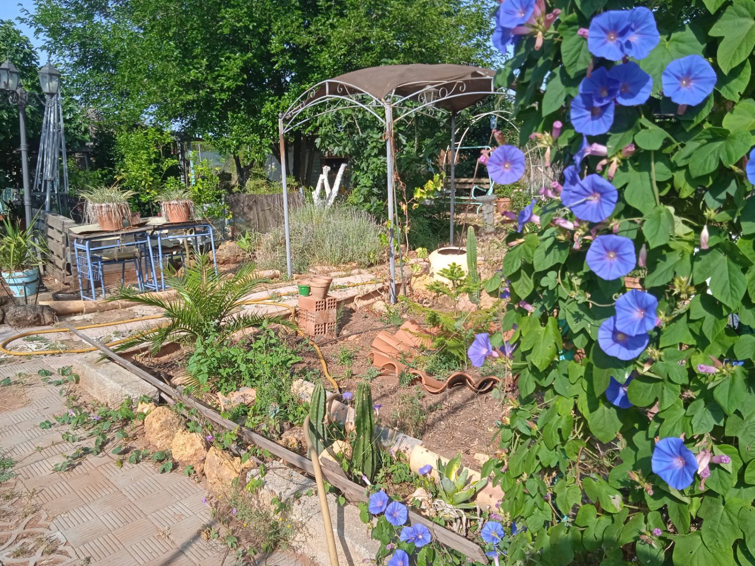 Jardí de Finca rústica en venda en Alcalá de Guadaira