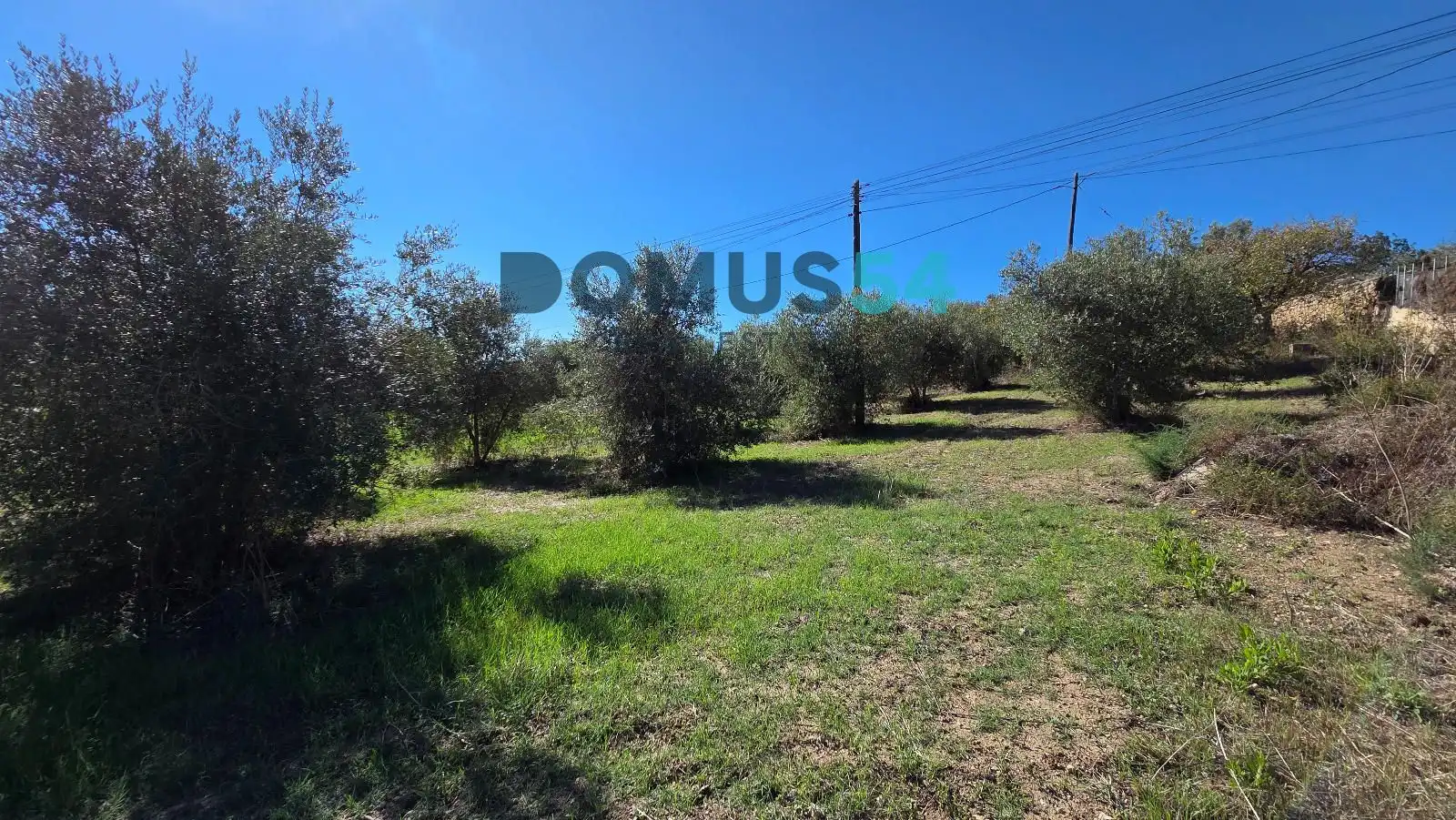 Terreno en venta en Campanet