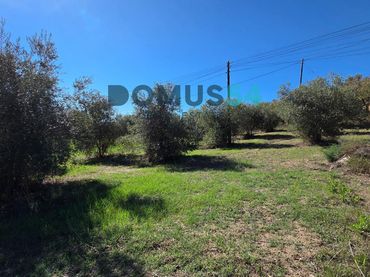 Rustikales Grundstück zum Verkauf in Campanet