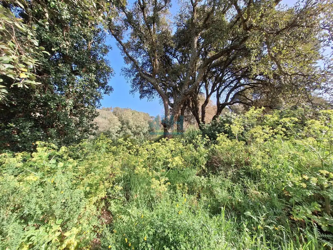 Terreni e lotti in vendita a O Pereiro de Aguiar, imagen 3