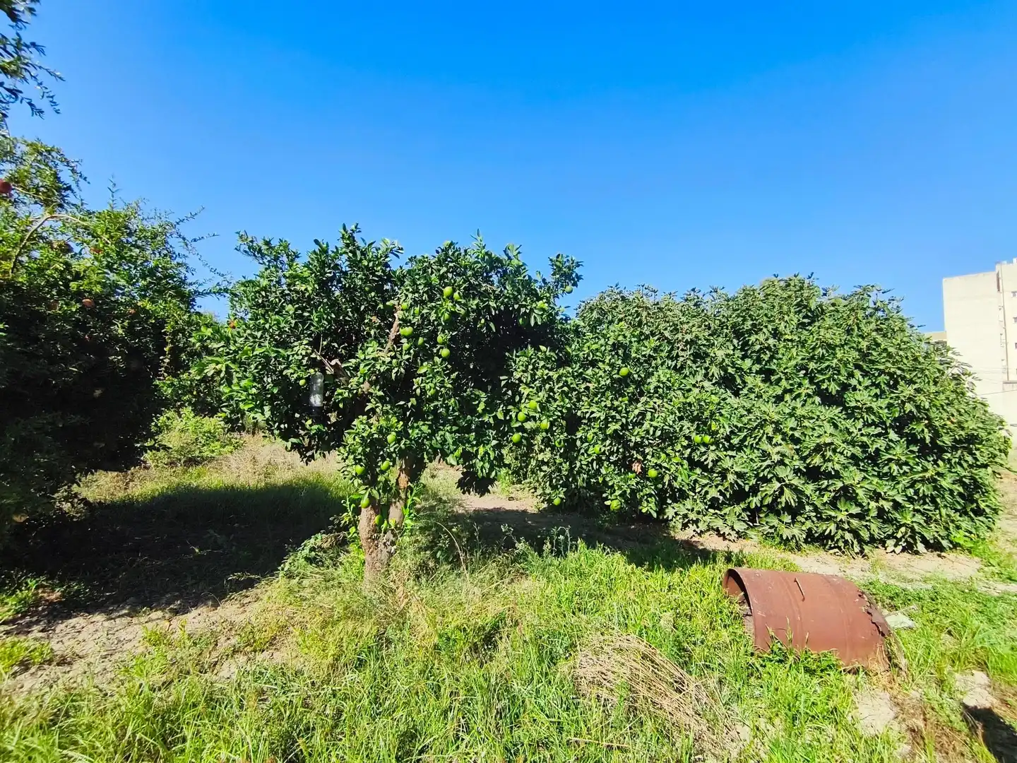 Houses for sale in Murcia