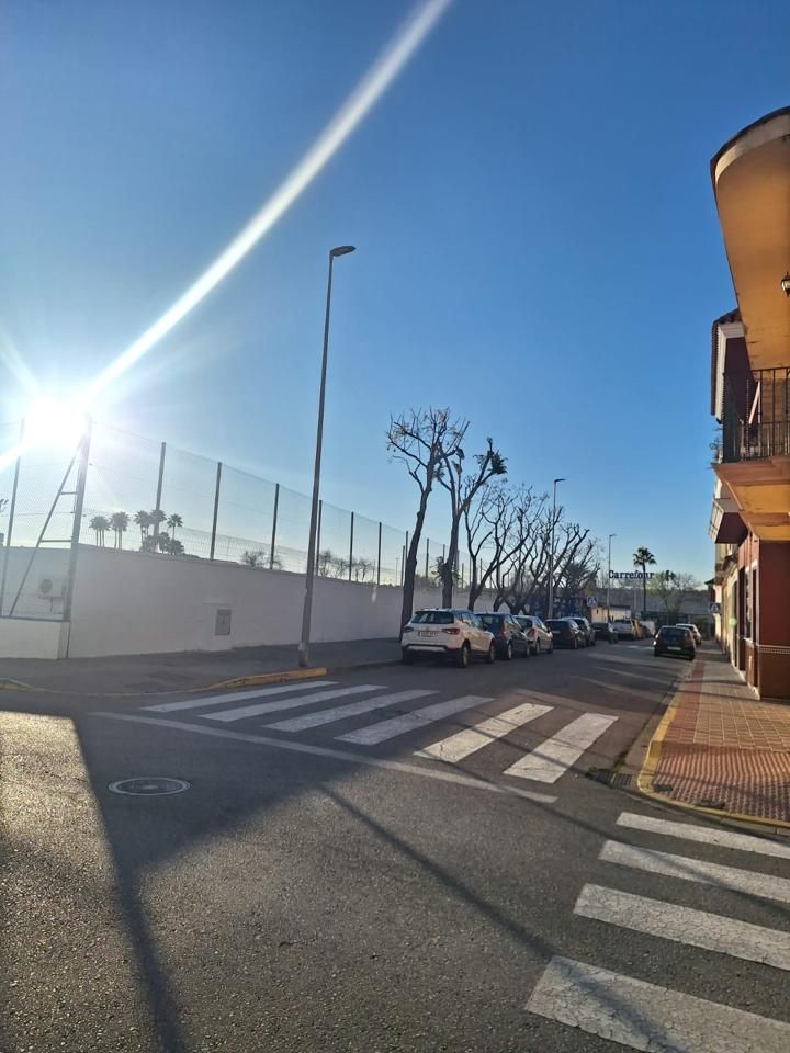 Exterior view of Residential for sale in Dos Hermanas