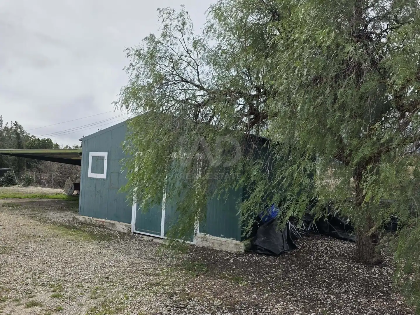 Finca rústica en venda a Calasparra
