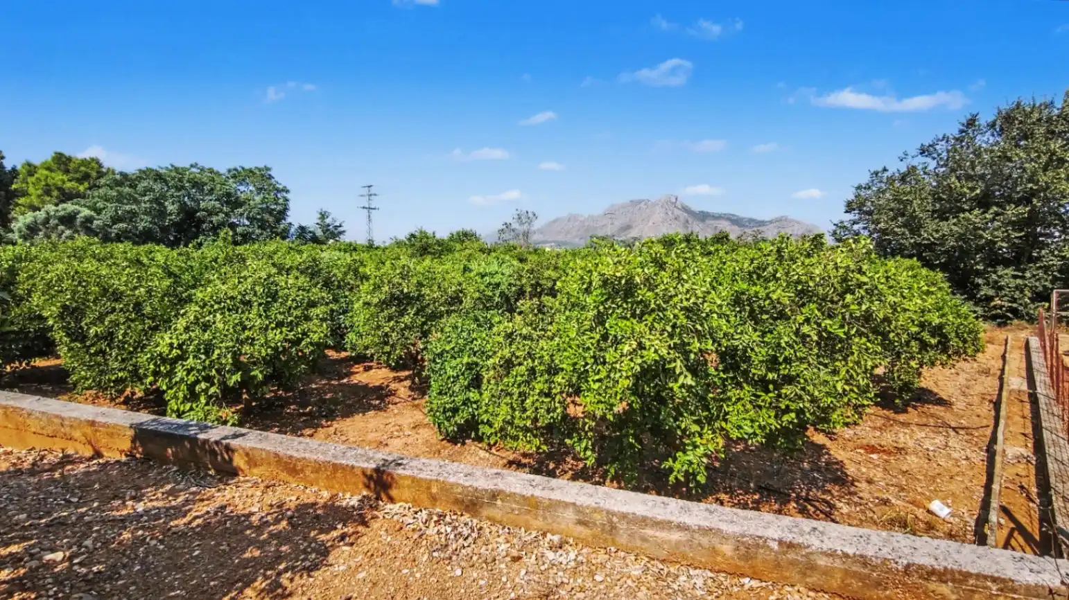 Lands and plots for sale in Ondara, imagen 11