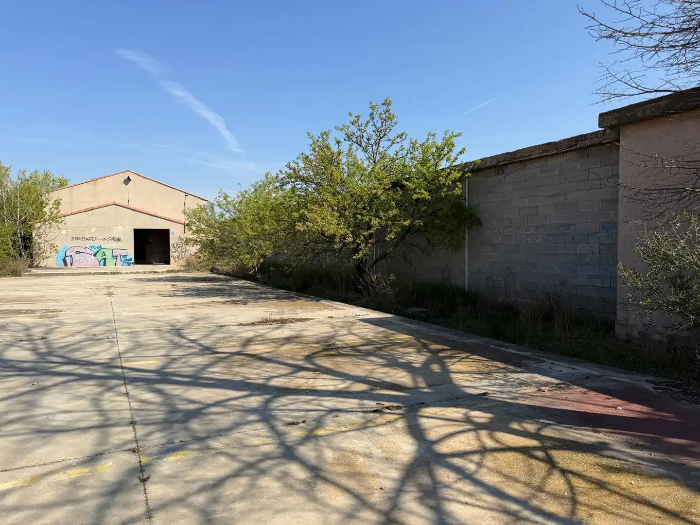 Industrial building for sale in Partida Caparrella, imagen 7