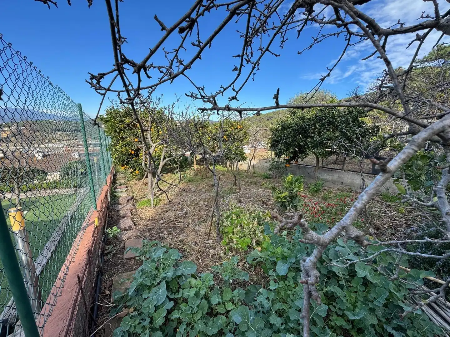 Einfamilien-Reihenhaus zum Verkauf in Blanes