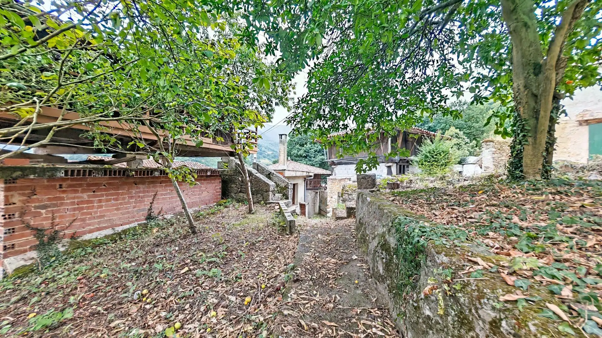 Detached homes for sale in Belmonte de Miranda