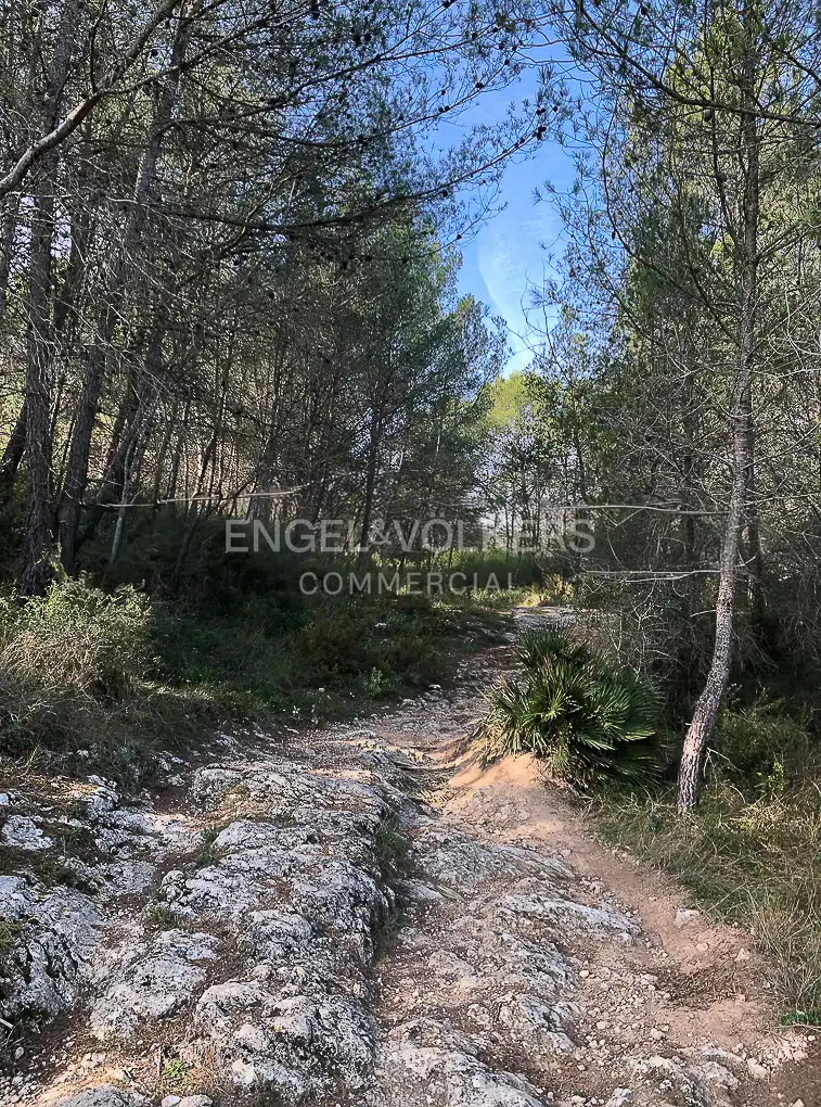 Fabrik Grundstücke zum Verkauf in Avinyonet del Penedès