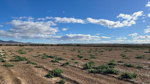 Photo 3 of Land for sale in Condado de Alhama, Alhama de Murcia