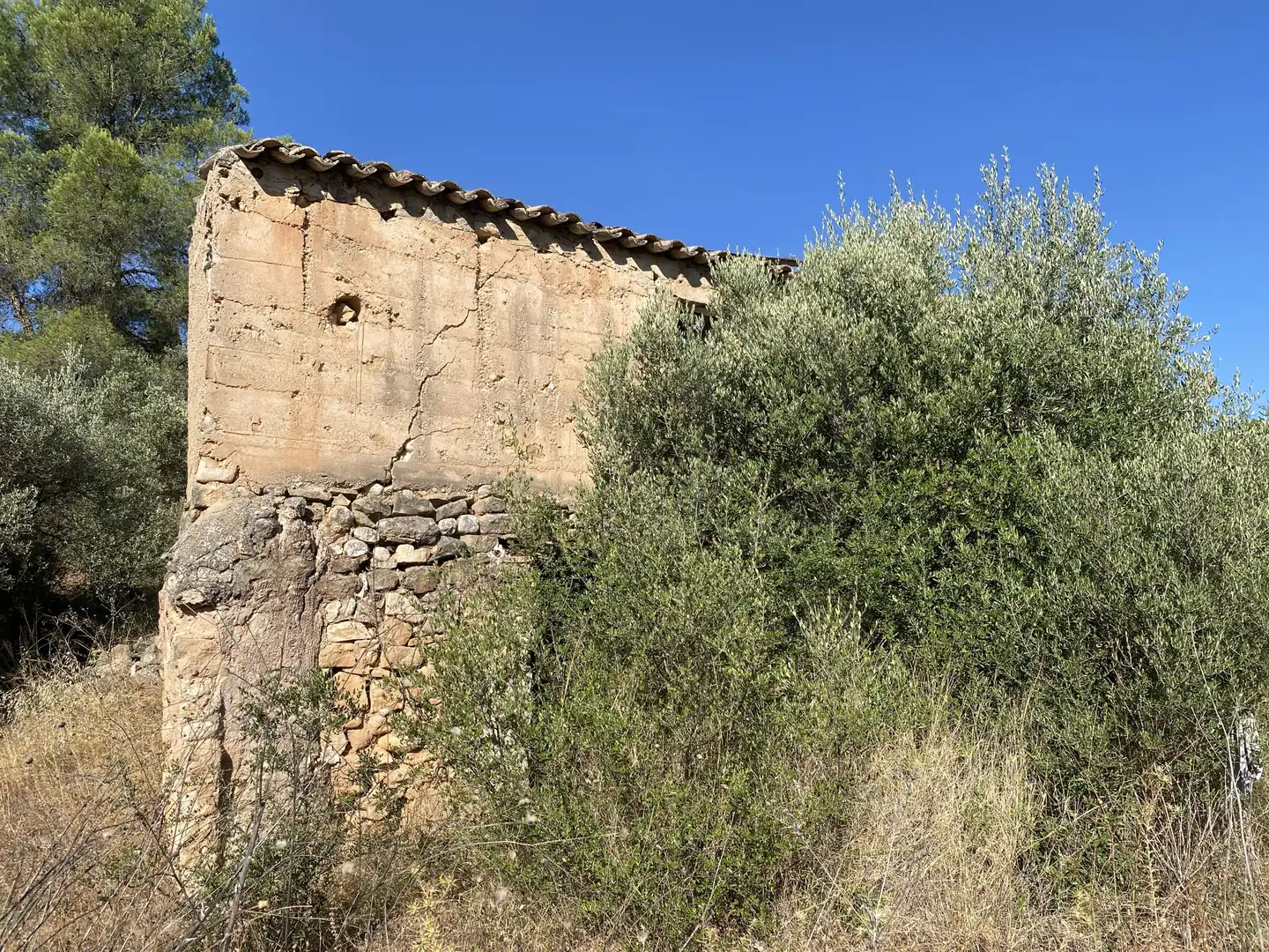 Terrain rustique à vendre à Ascó, imagen 27