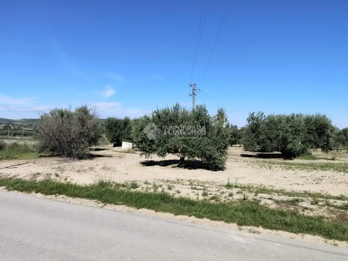 Rural land for sale in Mengíbar, imagen 15