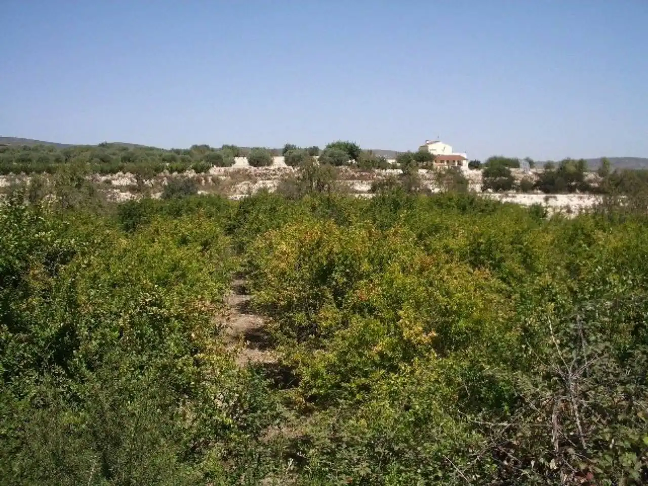 Terreno residencial en venta en Casa Marau, imagen 11