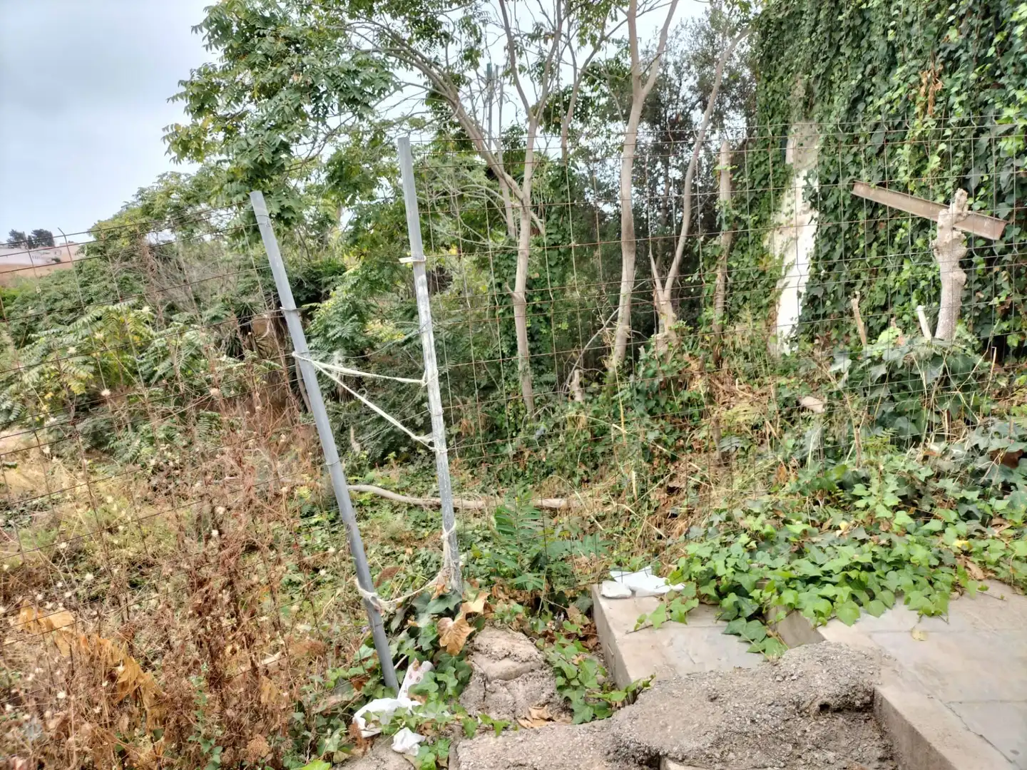 Grundstücke und Bauplätze zum Verkauf in Churriana, imagen 5