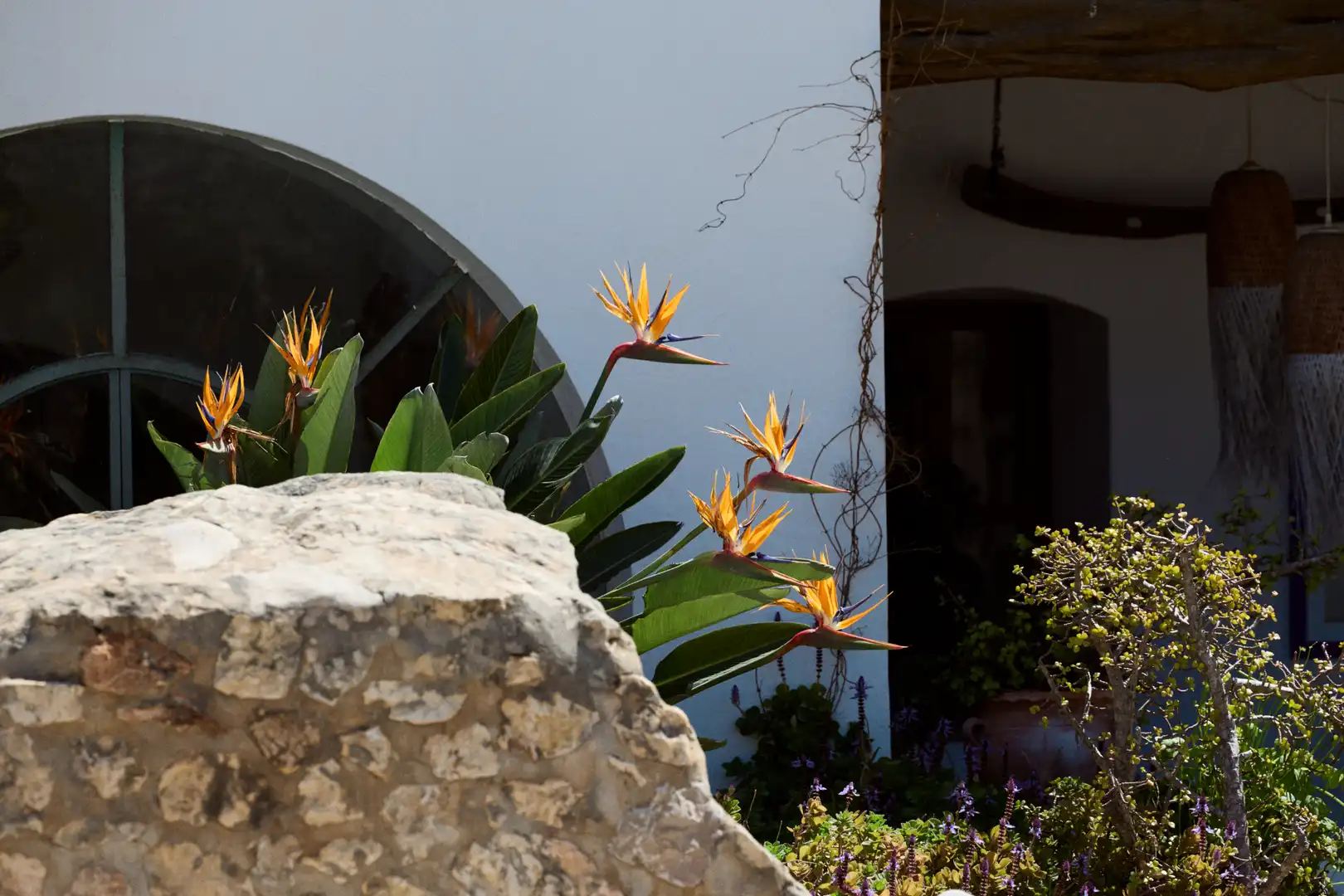 Jardí de Finca rústica en venda en Sant Joan de Labritja amb Aire condicionat, Jardí privat i Parquet