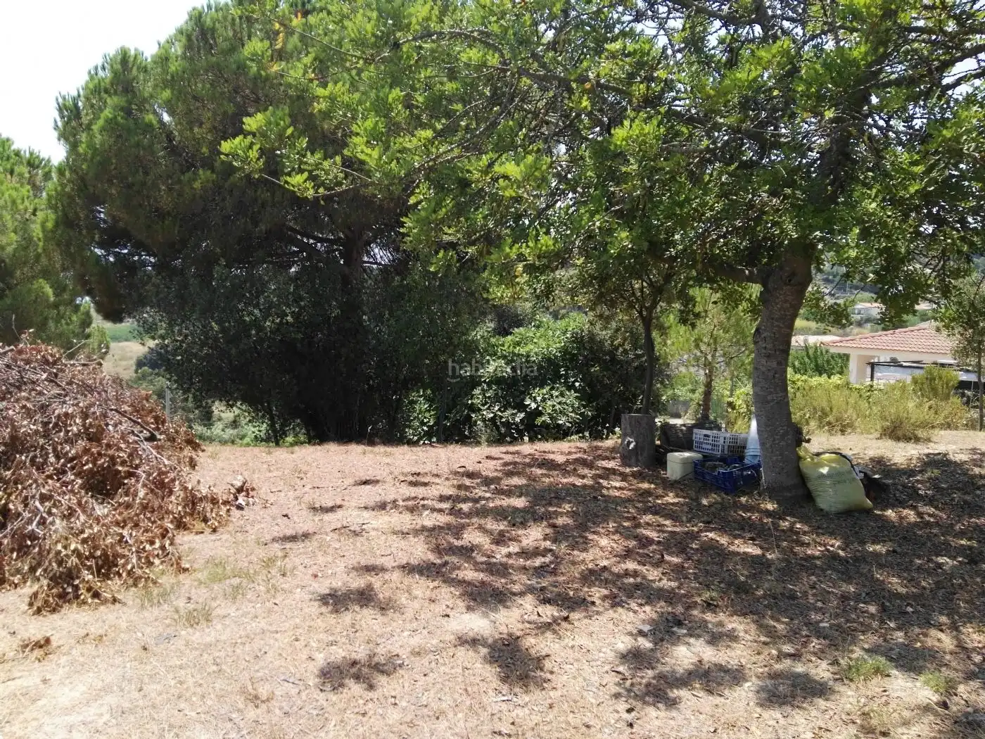 Wohnbaugrundstück zum Verkauf in Carrer Cami de Canet 131, imagen 6