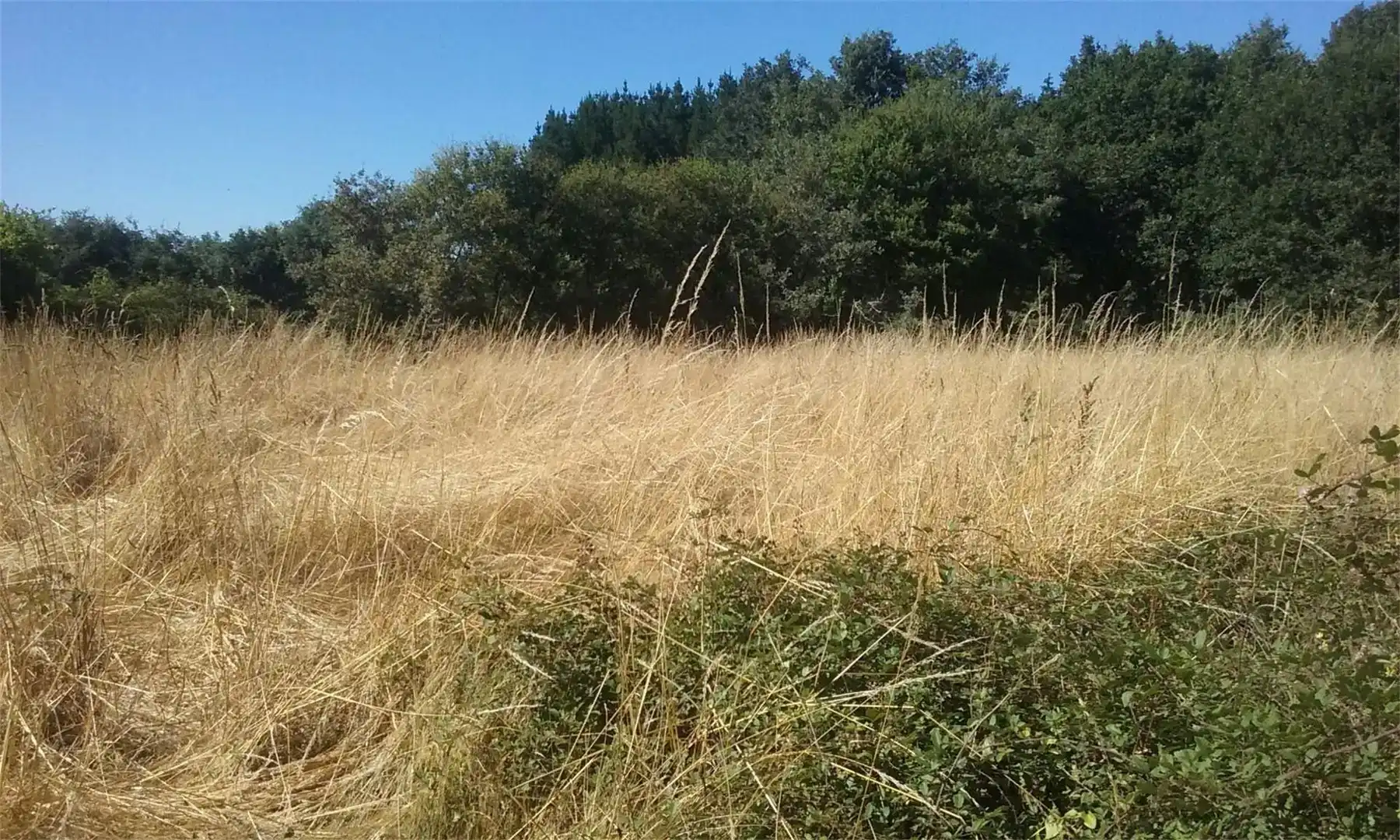 Finca rústica en venda en O Páramo  amb Jardí privat i Balcó