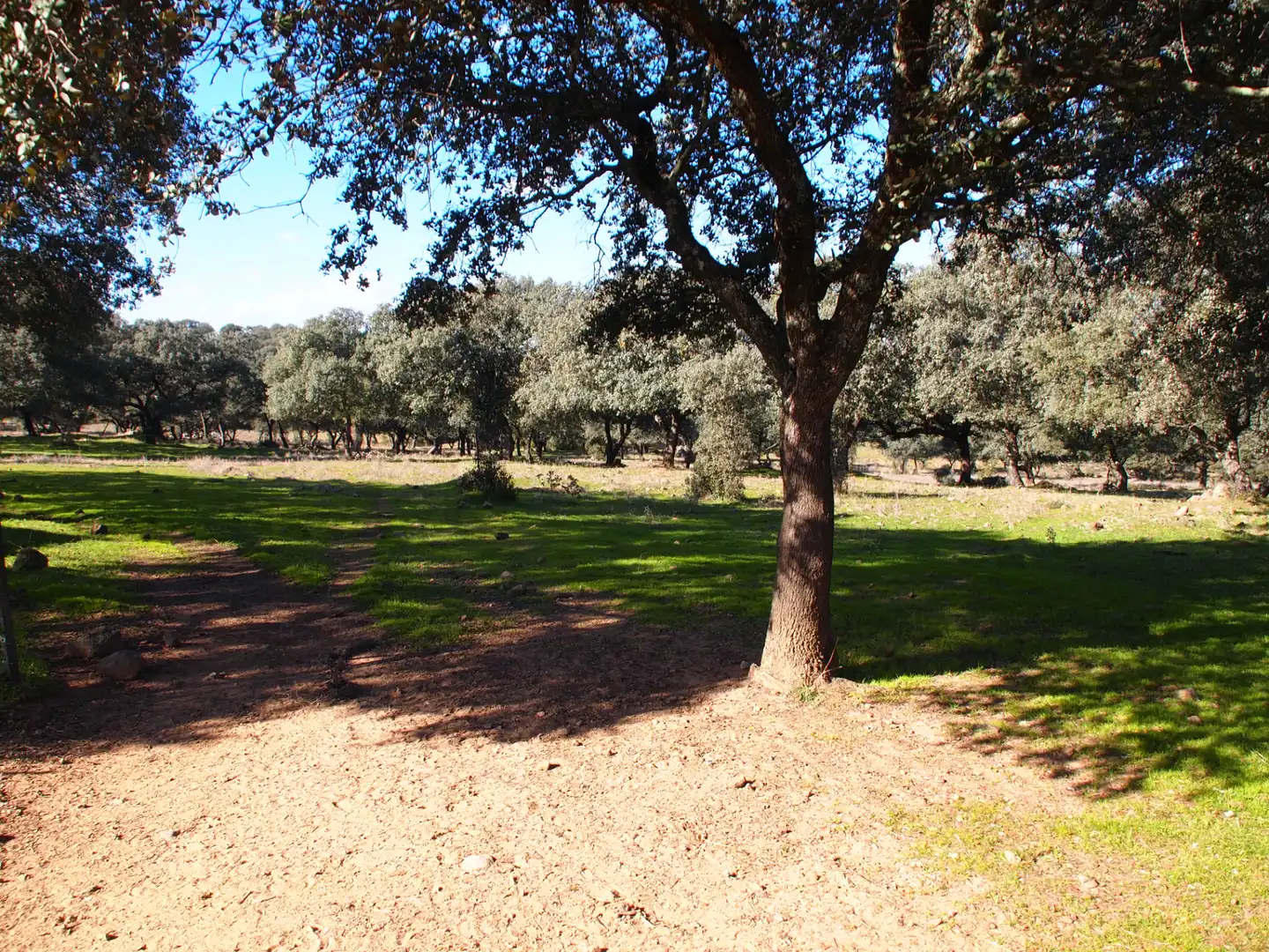 Country house zum Verkauf in Santa Olalla del Cala