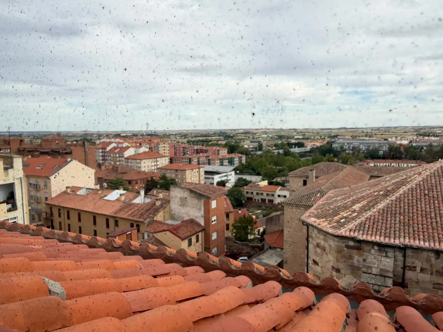 Local comercial en venda a Calle San Atilano, imagen 5