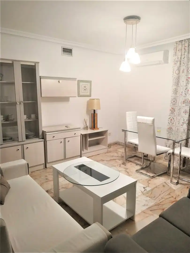 Sala d'estar de Apartament de lloguer en Casco Antiguo