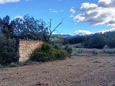 Terreny rústic en venda a Lledó