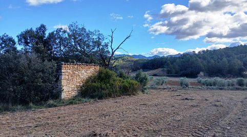 Finca rústica con vistas y masico