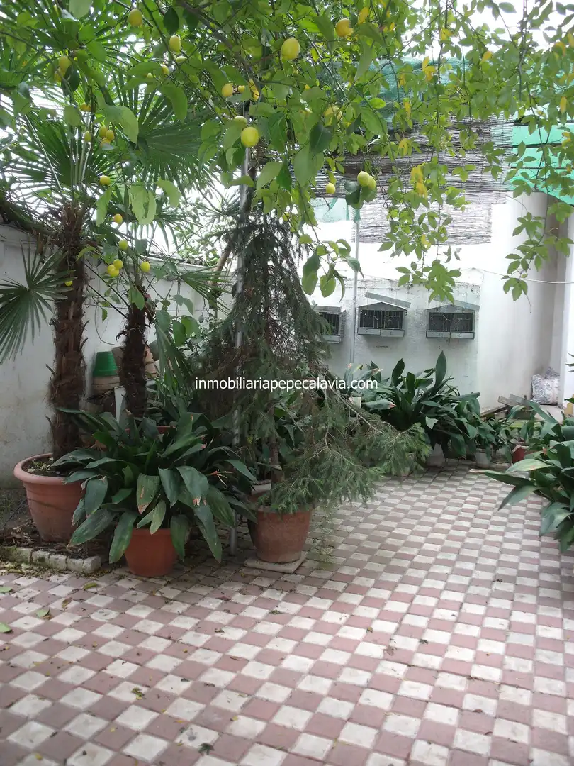 Maison avec terrasse à vendre à Calle San Francisco, imagen 15