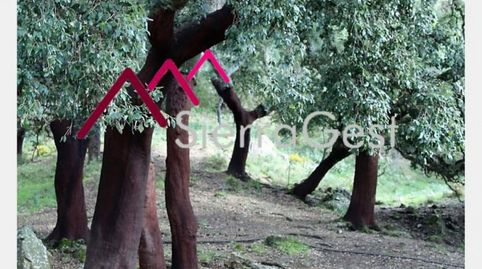 VENTA FINCA RÚSTICA CORTES DE LA FRA., imatge 2